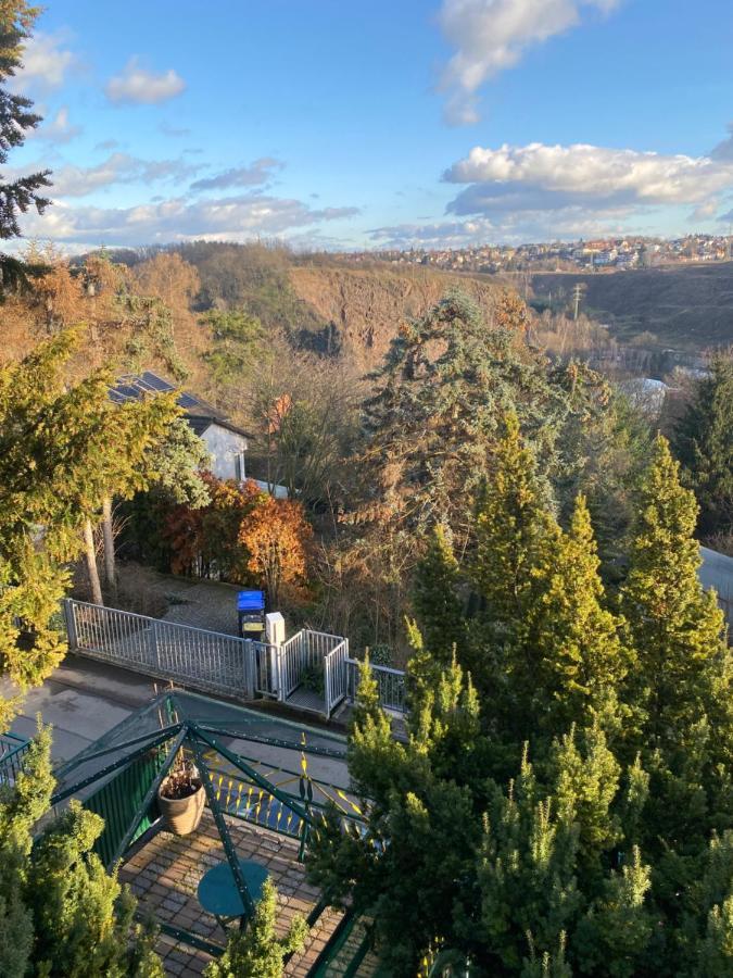 Helles Und Charmantes Loft Mit Herrlichem Blick Dresden Bagian luar foto