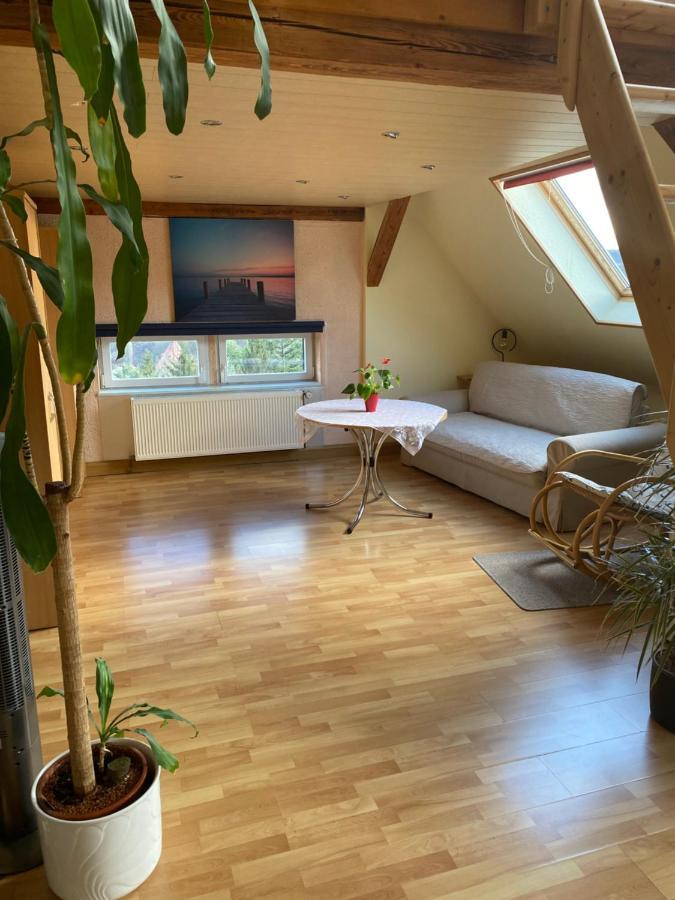 Helles Und Charmantes Loft Mit Herrlichem Blick Dresden Bagian luar foto