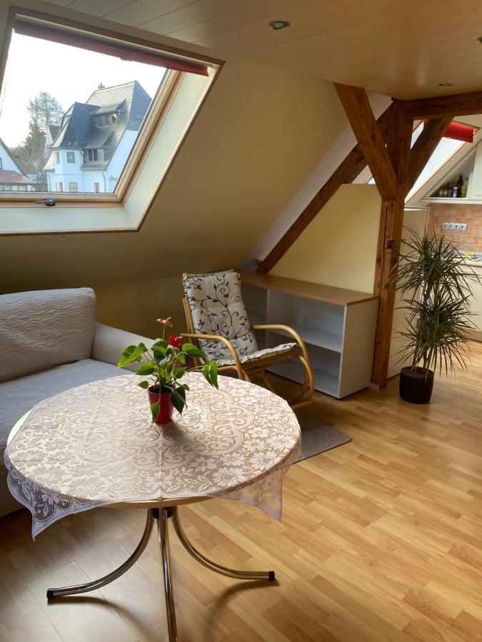Helles Und Charmantes Loft Mit Herrlichem Blick Dresden Bagian luar foto