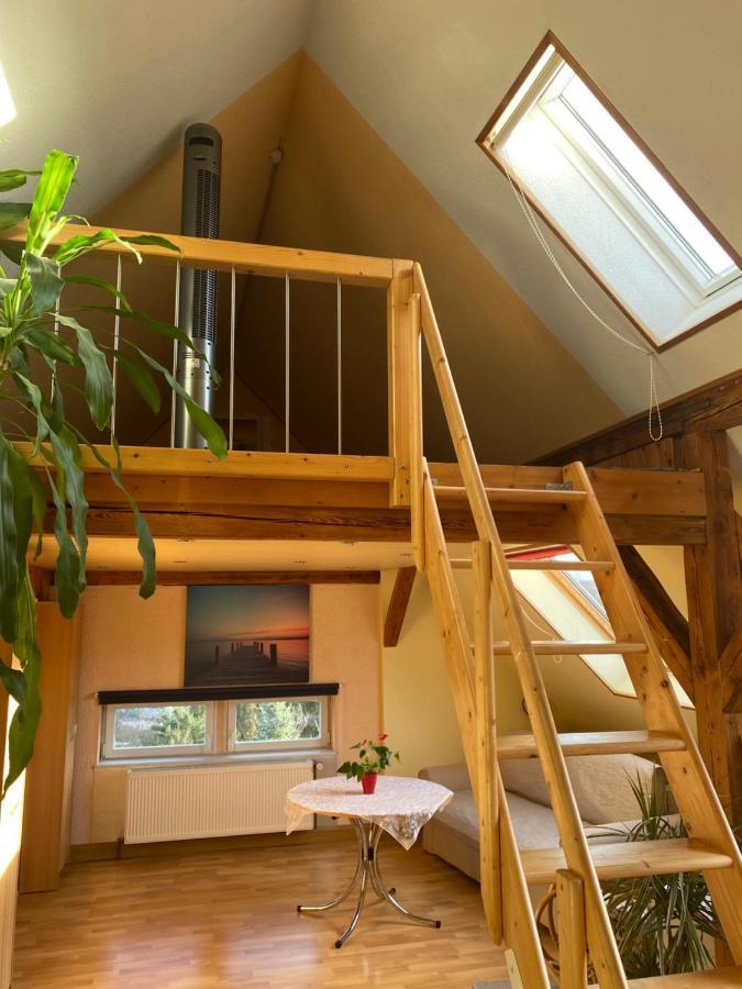Helles Und Charmantes Loft Mit Herrlichem Blick Dresden Bagian luar foto